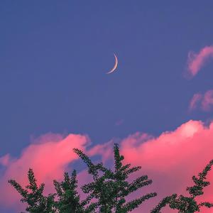 韩国中国最漂亮最漂亮最漂亮的美女刺激黄色网
